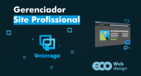 Imagem principal do artigo Gerenciador do Site Profissional